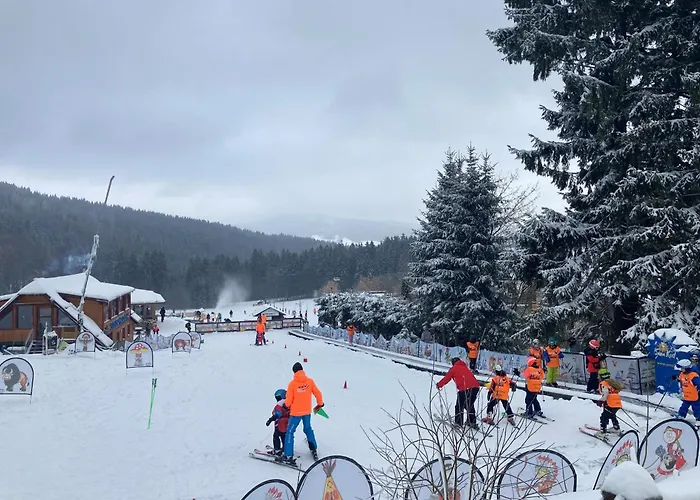 Apartman Ski&bike Nicol - Janske Lazne Trutnov